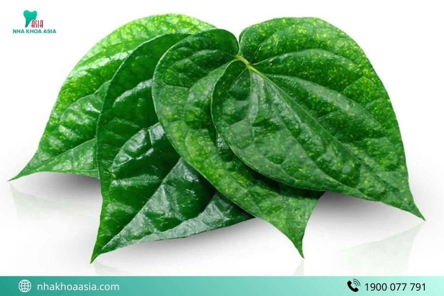Chữa viêm tủy răng bằng lá trầu không