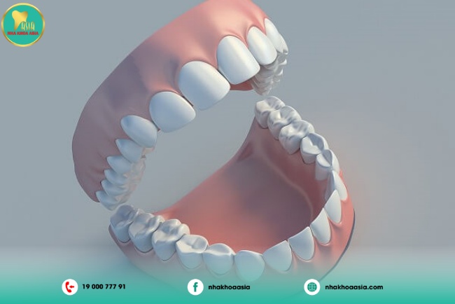 Tại vị trí nào trong hàm răng mà răng số 8 được tìm thấy?
