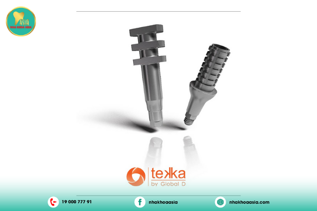 Trụ Implant Tekka (France)