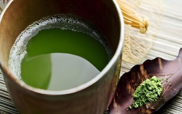 Cách dùng cây lá lấu chữa sâu răng tại nhà