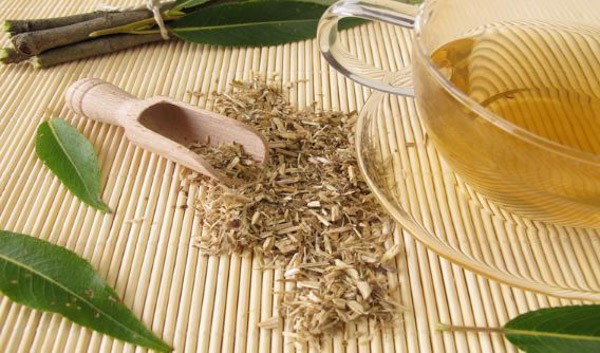Cách dùng vỏ cây lá lấu chữa sâu răng